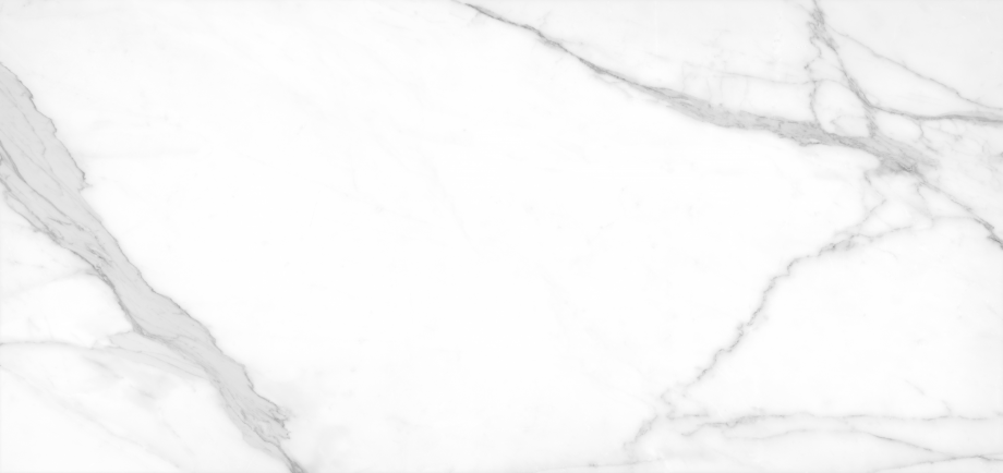 PORCELANATO THOLOS WHITE60X1,20 M2 ARGENTA
