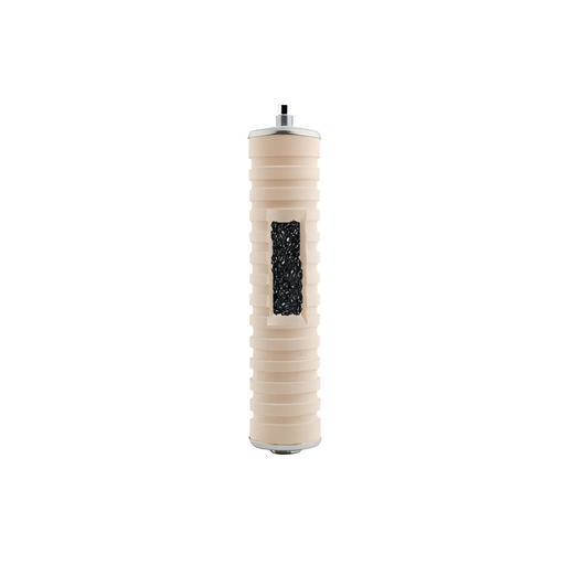 [79.03FB35] BUJIA FILTRO 10" D/H INOX C/CARBON, FP