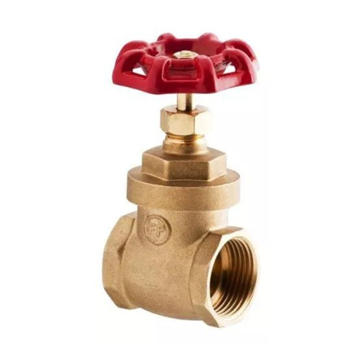 [79.01C110] VALVULA DE COMPUERTA DE 1", 01C110, FP