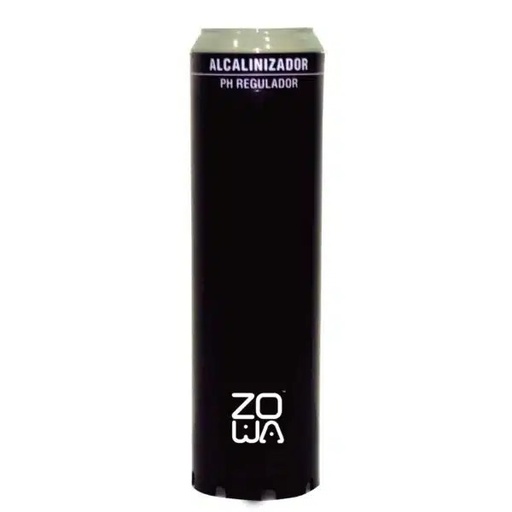 [79.17.Z.B33.RIC] CARTUCHO BACTERICIDA 10" X 2,5", ZOWA