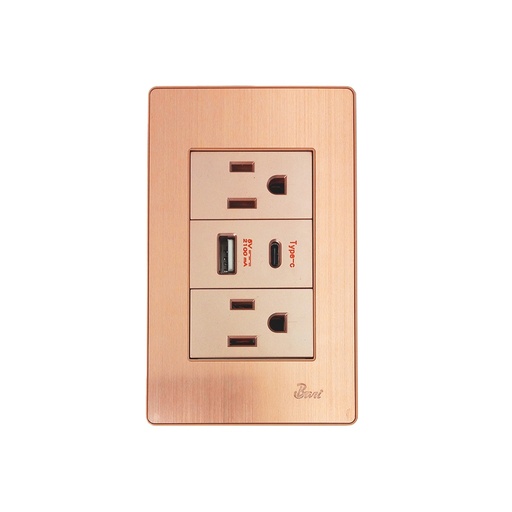 [60.15.INT0311] TOMA DOBLE USB SERIE OTTONE  BARI                                                                                       