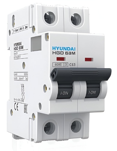 [60.11.HGD62H2P16A] BREAKER TERMOMAGNETICO BIPOLAR 20A MONTAJE EN RIEL HYUNDAI