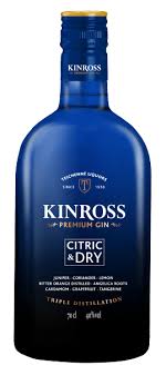 [A01.01.141] BOTELLA GINEBRA KINROSS CITRIC                                             