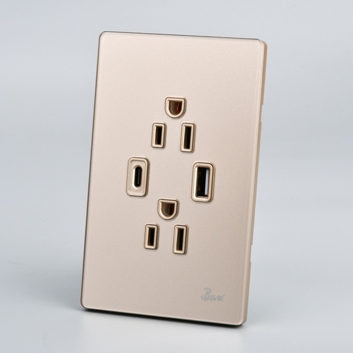 [60.15.INT.12.11] TOMA DOBLE USB SERIE D´ORO BARI